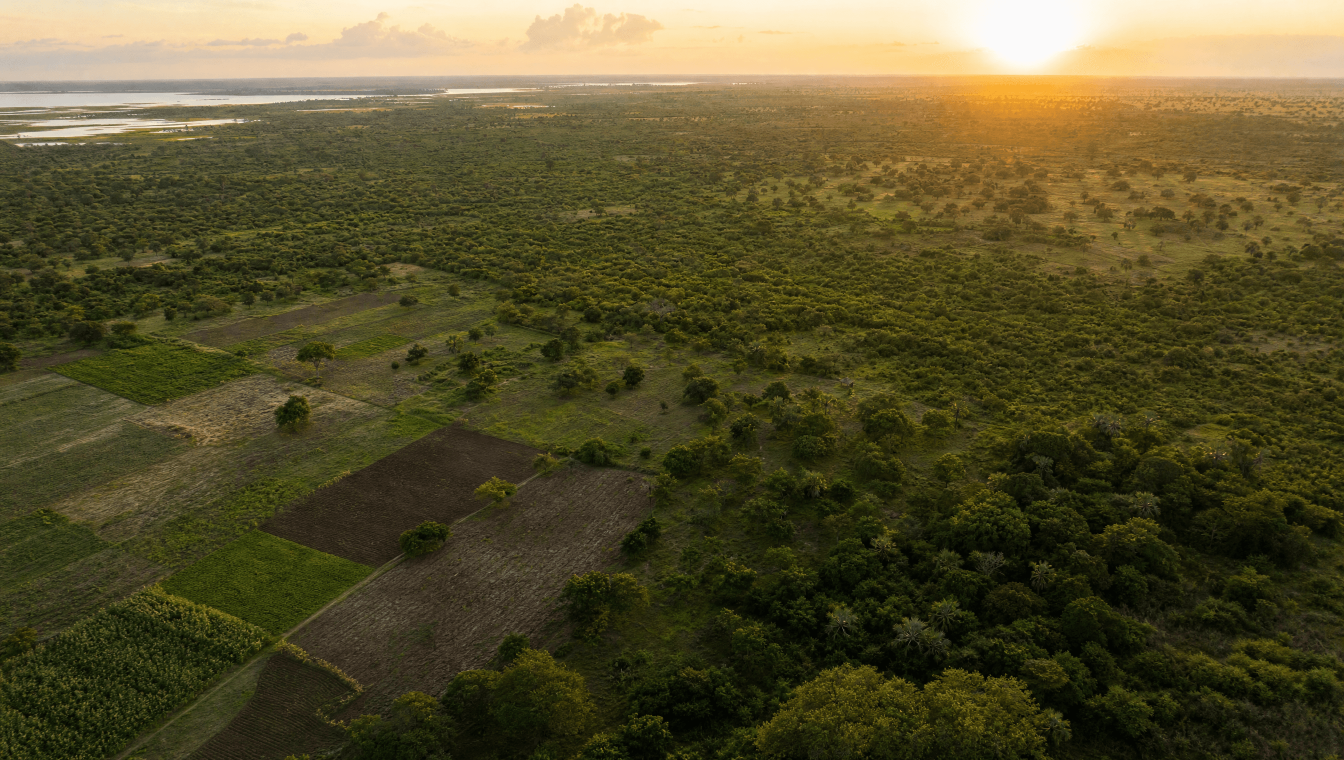 Nature-based carbon project landscape